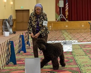 20260513-RA-0081.jpg