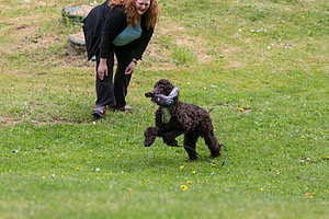 20190512-BD-0056.jpg