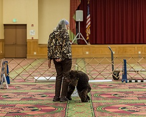 20260513-RA-0014.jpg