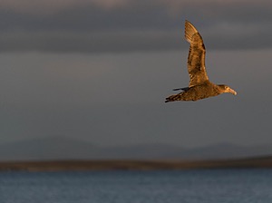 20191212-0911.jpg