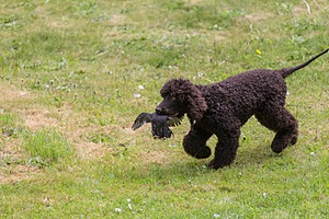 20190512-BD-0110.jpg