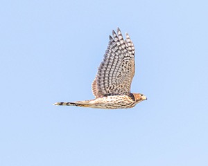 20190921-C-0009.jpg