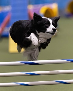 20260221-0547.jpg