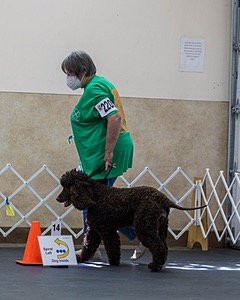 20210828-RA-0290.jpg