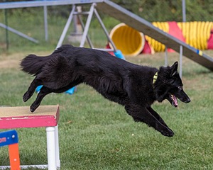 20200819-0412.jpg