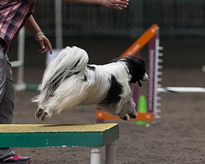 Luca Tettke