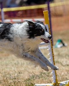20160618-CCKC-1445.jpg