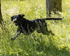 20220605-FINW-1741.jpg