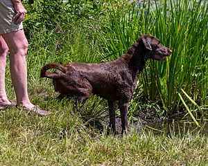 20190804-SHW-0016.jpg