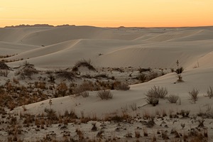 20151209-0039.jpg