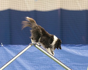 20150321-LEAP-1701.jpg