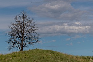 20200619-2518.jpg