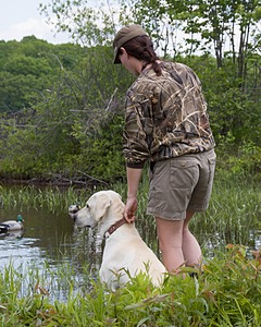 Baby's Kansas Brush Buster
