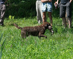 20130810-JHW-0021.jpg