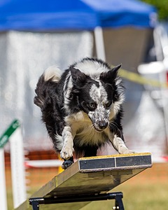 20180617-0278.jpg