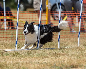 20160619-CCKC-1030.jpg