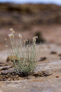 20151204-0242.jpg