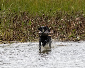 20161008-WCXW-0689.jpg