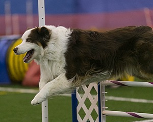 20150321-LEAP-0304.jpg