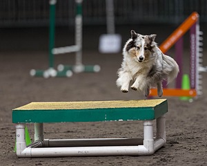 Annie Cirinna
