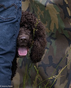 Finn MacCool