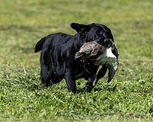 20260516-WCXL-0012.jpg