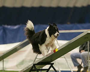 20150321-LEAP-0892.jpg