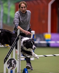 Breeze Schunk