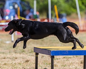 20160618-CCKC-0238.jpg
