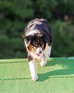 Kona Destremps
