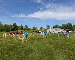 20170521-NEATMC-0030.jpg