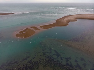Peninsula Valdes, Argentina
