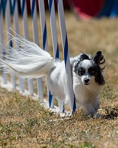 20160618-CCKC-2014.jpg