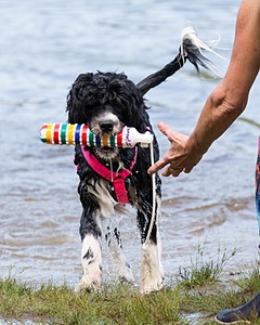 Glowworm