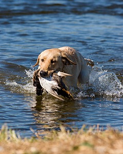 20061014-JHW-288.jpg