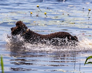 Ghillie Kezer