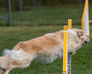 20200819-0224.jpg