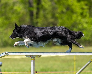 20170520-NEAT-1634.jpg