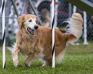 20230917-PVKC-2799.jpg