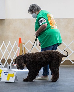 20210828-RA-0282.jpg