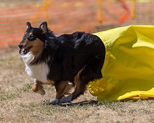 20160619-CCKC-1628.jpg