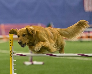 20150321-LEAP-0670.jpg