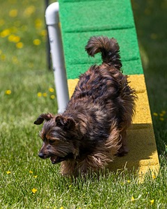 20170521-NEAT-1083.jpg