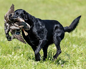 Oden Smith