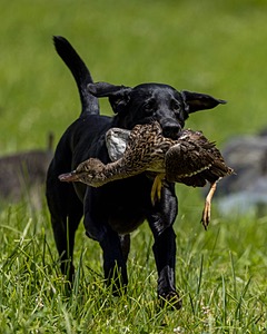 20220605-FINL-1832.jpg