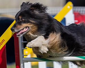 20230916-PVKC-1350.jpg