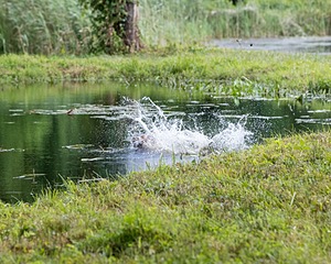 20200809-SHW-0063.jpg