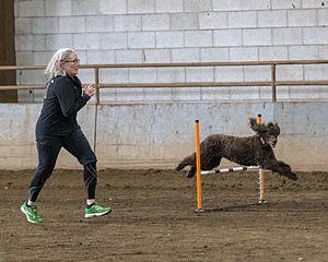 20190513-AG-0474.jpg