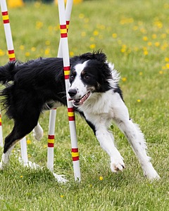 20160515-NEAT-0407.jpg
