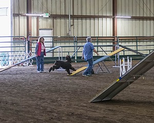 20190513-AG-0100.jpg